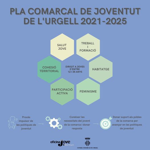 Pla Comarcal De Joventut De Lurgell Consell Comarcal Urgell