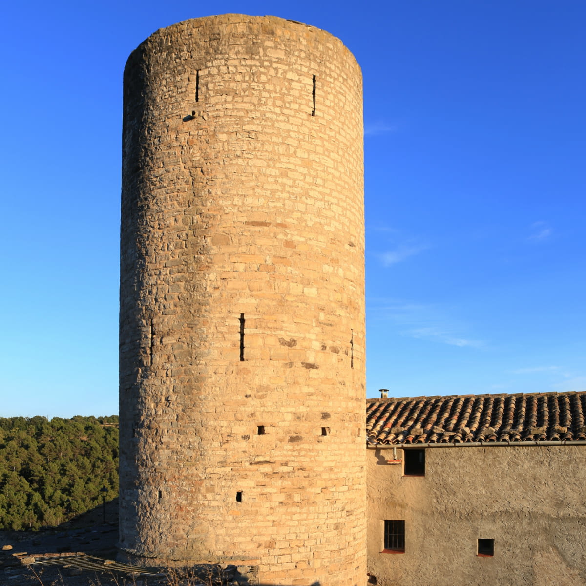 Castell de la Pobla de Claramunt