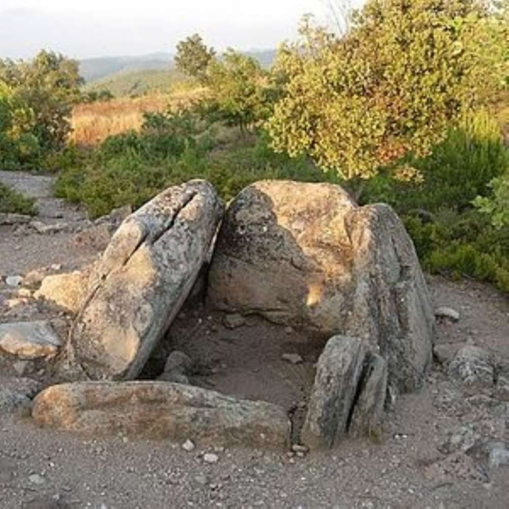 Vil·la romana de la Pineda de l'Espluga