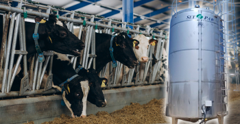 Refrigeración industrial eficiente para el sector lácteo: nuevo proyecto en Granja González Viladevay