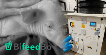 Eficiencia y tecnología en refrigeración industrial: nuevo proyecto de Abel Vilalta S.L. en BifeedBo (Lleida)