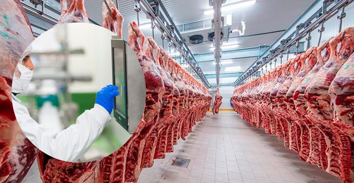 El papel del frío industrial en la maduración de la carne: precisión, calidad y tradición