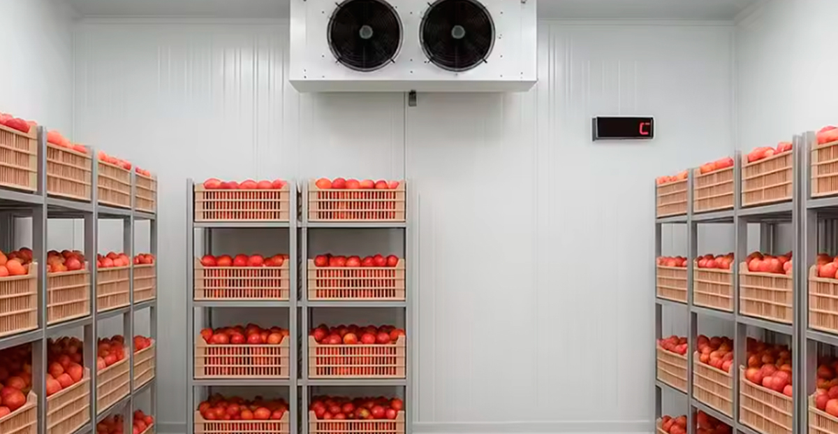 El papel del frío industrial en el sector hortofrutícola: retos, precisión y valor añadido