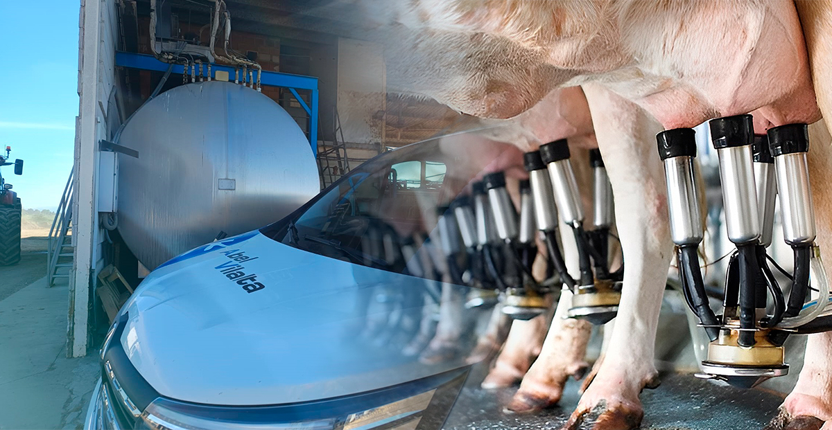 Mantenimiento preventivo en frío industrial: revisión de un tanque de leche de 30.000 litros antes del verano