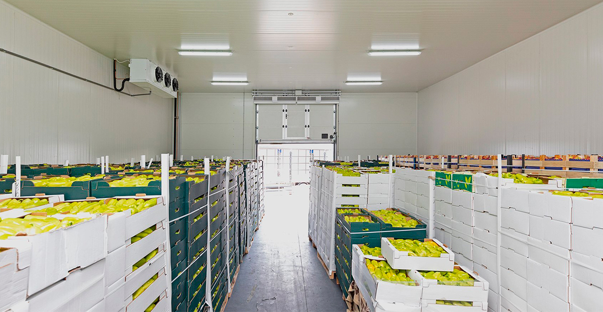 Cámaras de atmósfera controlada: cómo funcionan y por qué son clave para conservar frutas y verduras