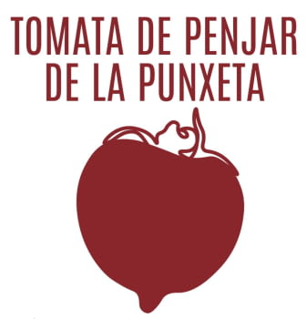 TOMATA PUNXETA