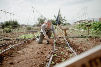 Alba Jussà inicia un crowdfunding per finançar un hivernacle pel seu projecte d’agricultura social Llavors d’Oportunitats.