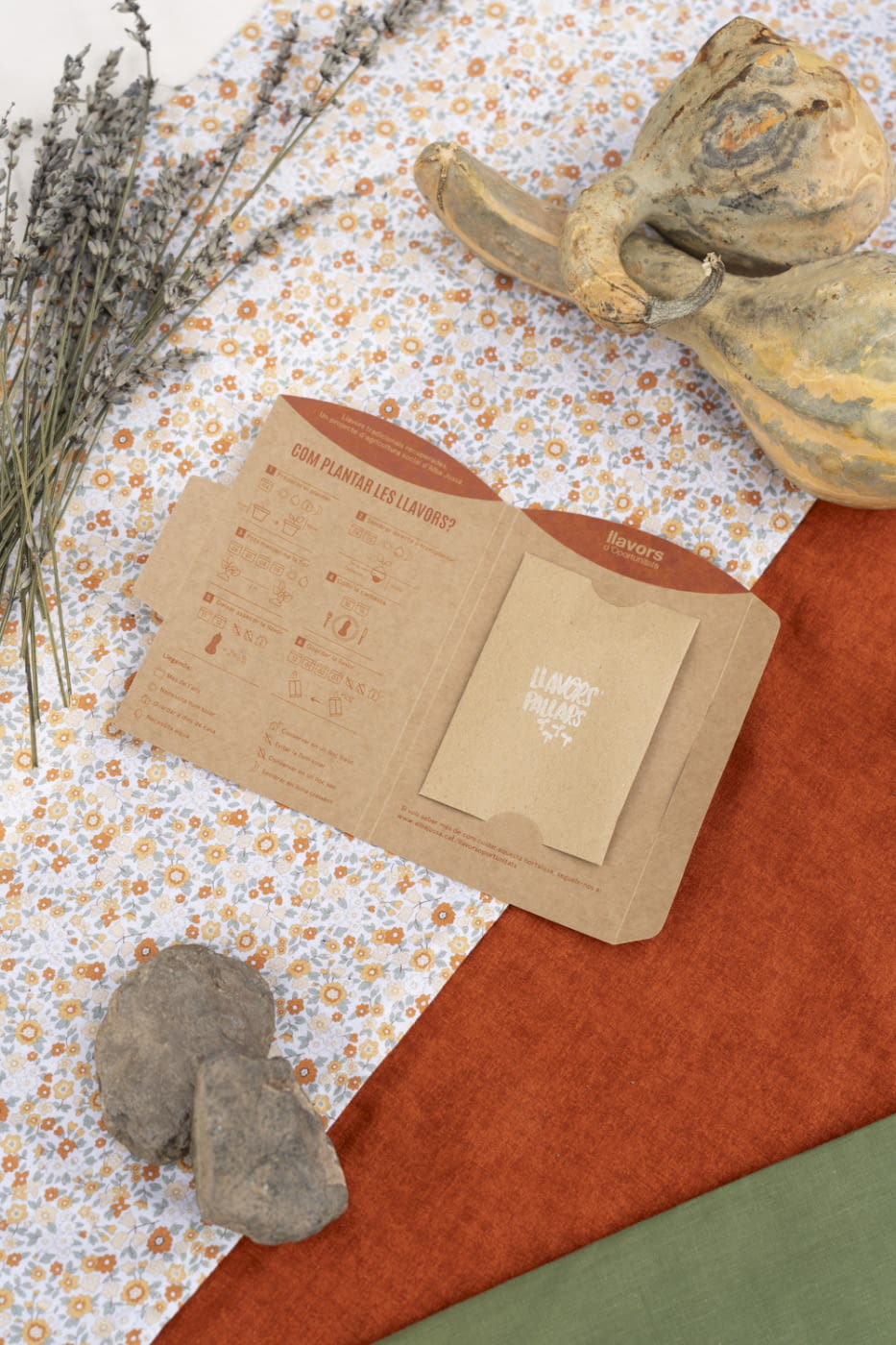 Packaging obert Carbassa llargueruda