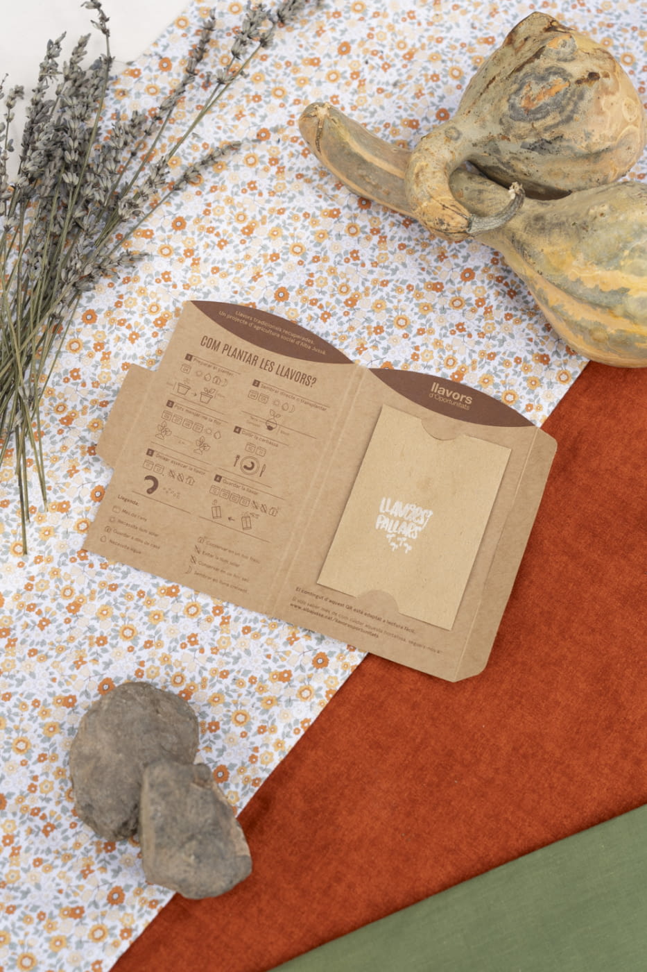 Packaging obert Carbassa torta