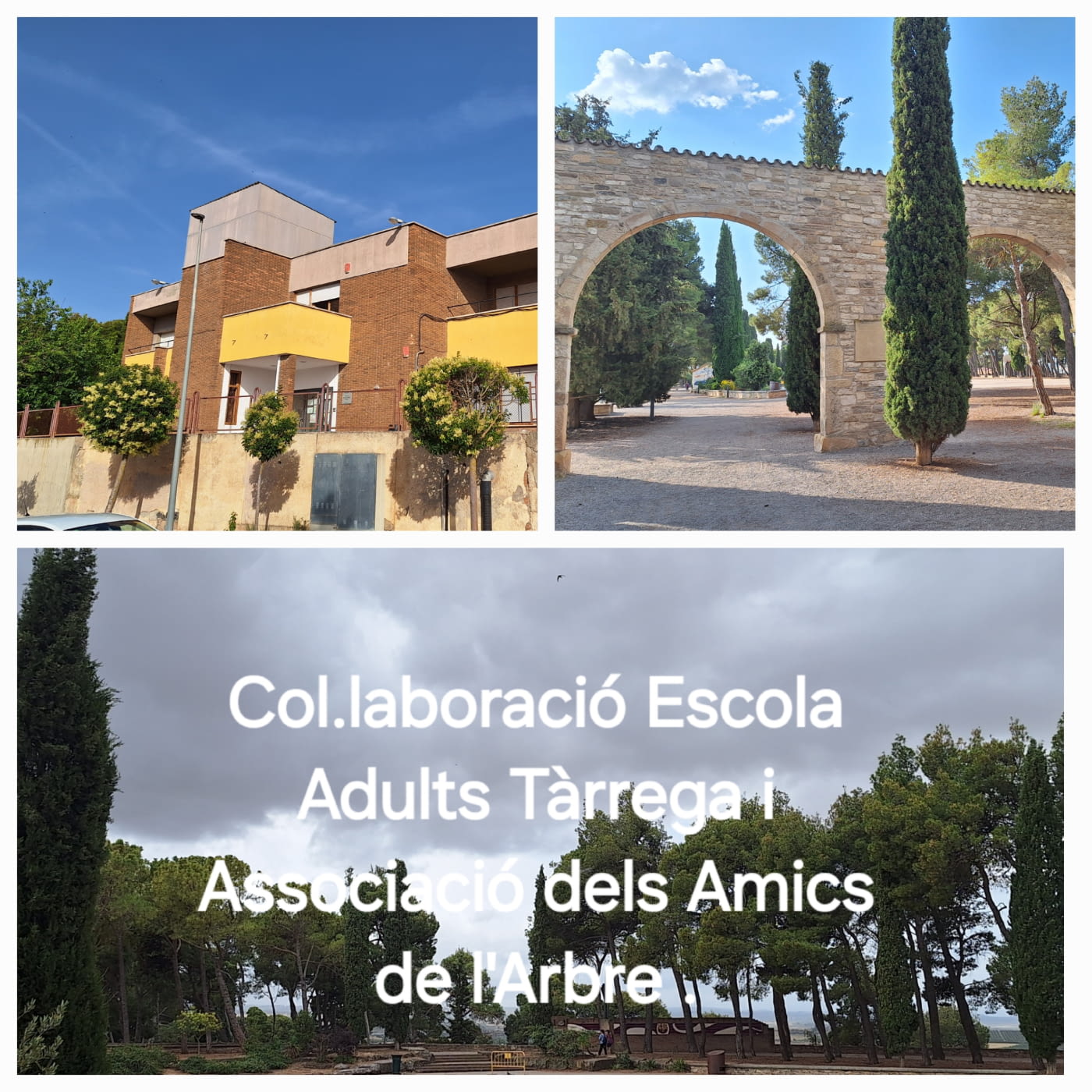 FINAL DE CURS DE L'ESCOLA D'ADULTS AL PARC DE SANT ELOI. VISITA GUIADA