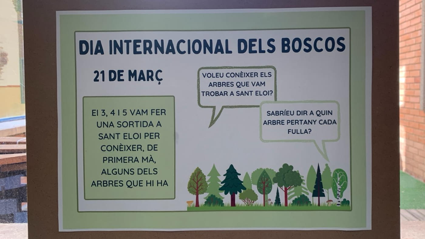 DIA INTERNACIONAL DELS BOSCOS / ESCOLA VEDRUNA -TÀRREGA