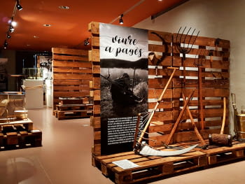 Col·leccionant Passions