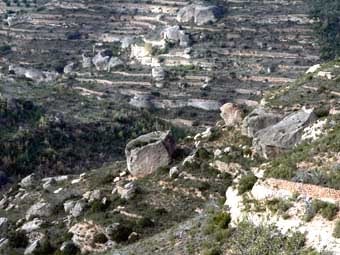 L'orografia del terreny, ple de roques voluminoses, ha   facilitat la formació i aprofitament de les balmes.