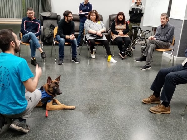 ASPID posa en marxa dos tallers terapèutics d'educació canina i de dansa i música