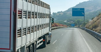 Nuevas normas sobre sanidad y protección animal durante el transporte