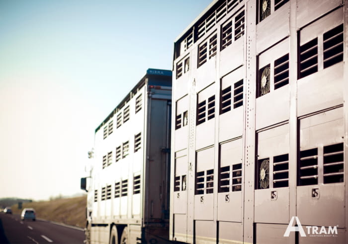 Plan De Control De Temperaturas En El Transporte De Animales Vivos Por Carretera Durante El Verano