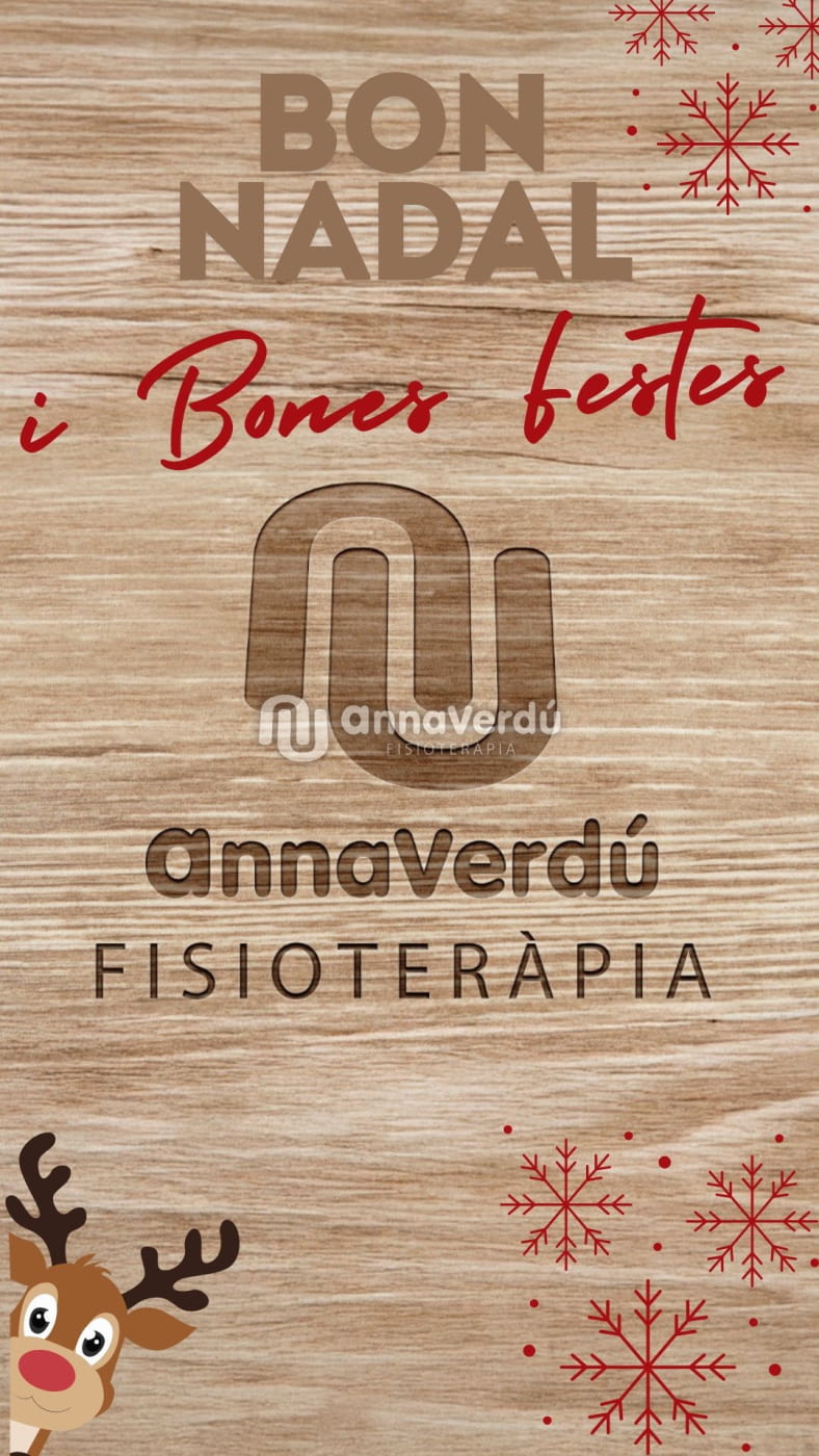 Bon Nadal i Bones festes!