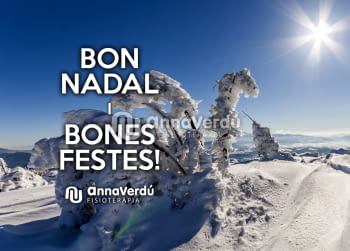 Bon Nadal i Bones Festes