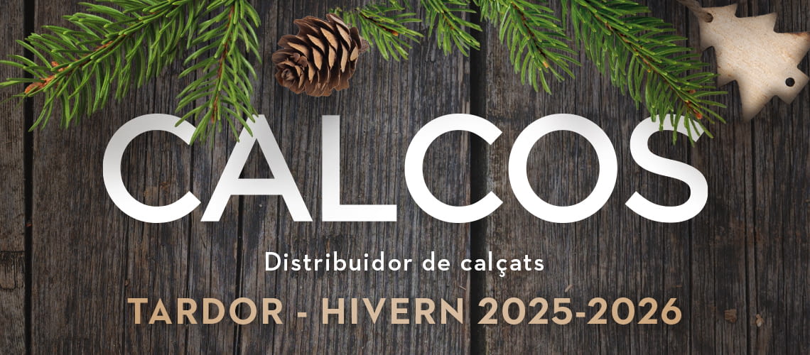 Hivern25