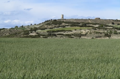 Pilar d'Almenara