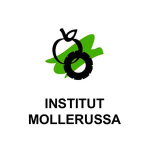 institut de mollerussa