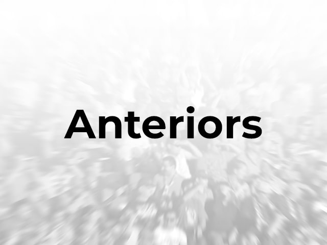 Anteriors