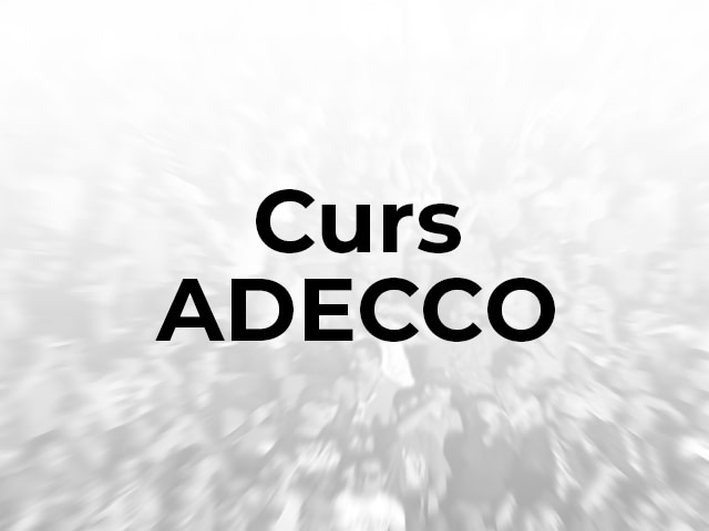 Curs ADECCO