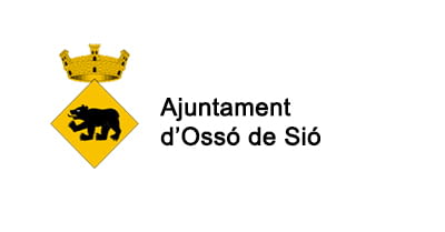 Ajuntament Ossó de Siió