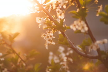 ¿Quieres protegerte correctamente del sol esta primavera? ¡Apuesta por una buena fotoprotección solar!