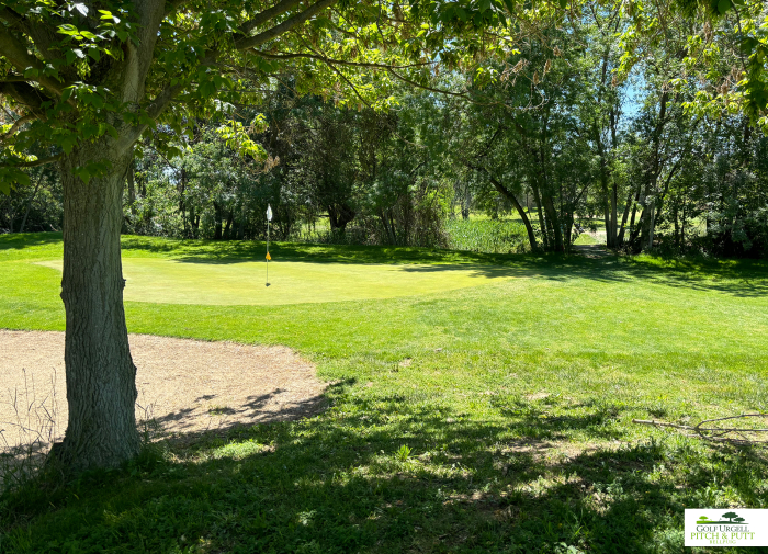 Golf Urgell Pitch & Putt Bellpuig - Image 5