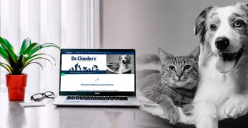 Tienda online para profesionales Dr.Clauder's España
