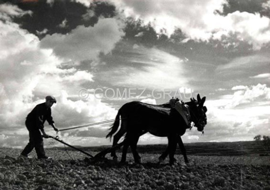 El Fons Fotogràfic de Claudi Gómez Grau. Una mirada etnològica