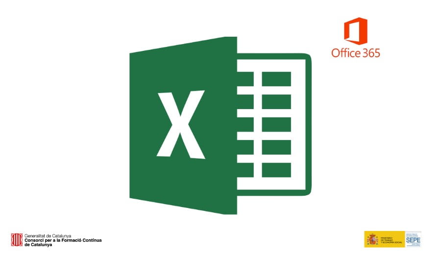 Excel II - MS Office Specialist