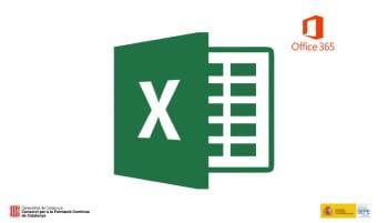 Excel II - MS Office Specialist