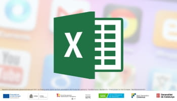 Fonaments d'Excel
