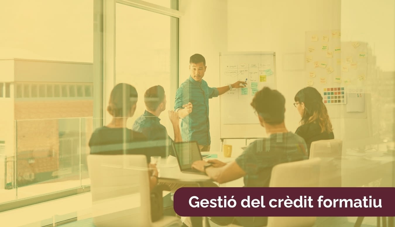 Gestió de la bonificació per a empreses i treballadors