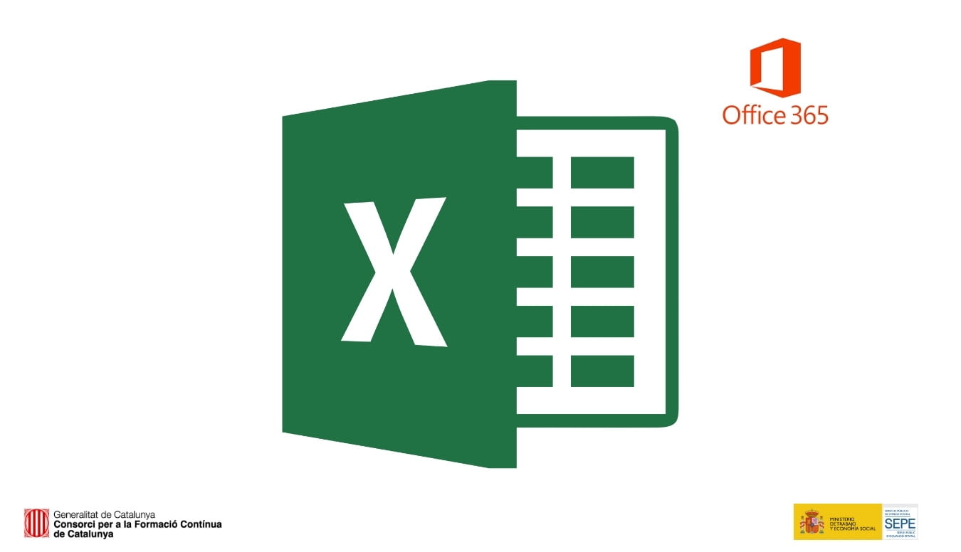 Excel II: Gestió i processament de dades amb Excel 365 Apps
