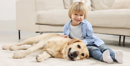 RACC ofrece garantías y asistencia 24 horas para el seguro de tu hogar y el máximo cuidado con el seguro para mascotas.