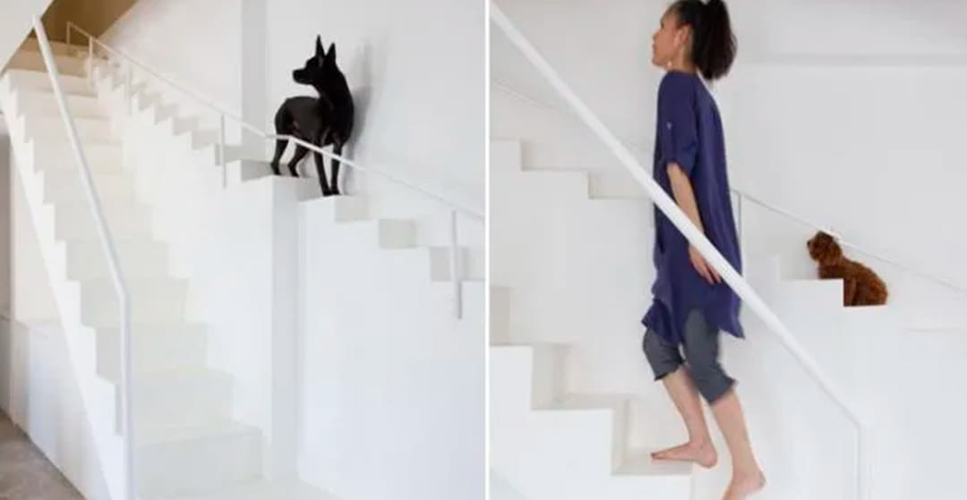 INTERIORISME. ESCALES PER A GOSSOS.