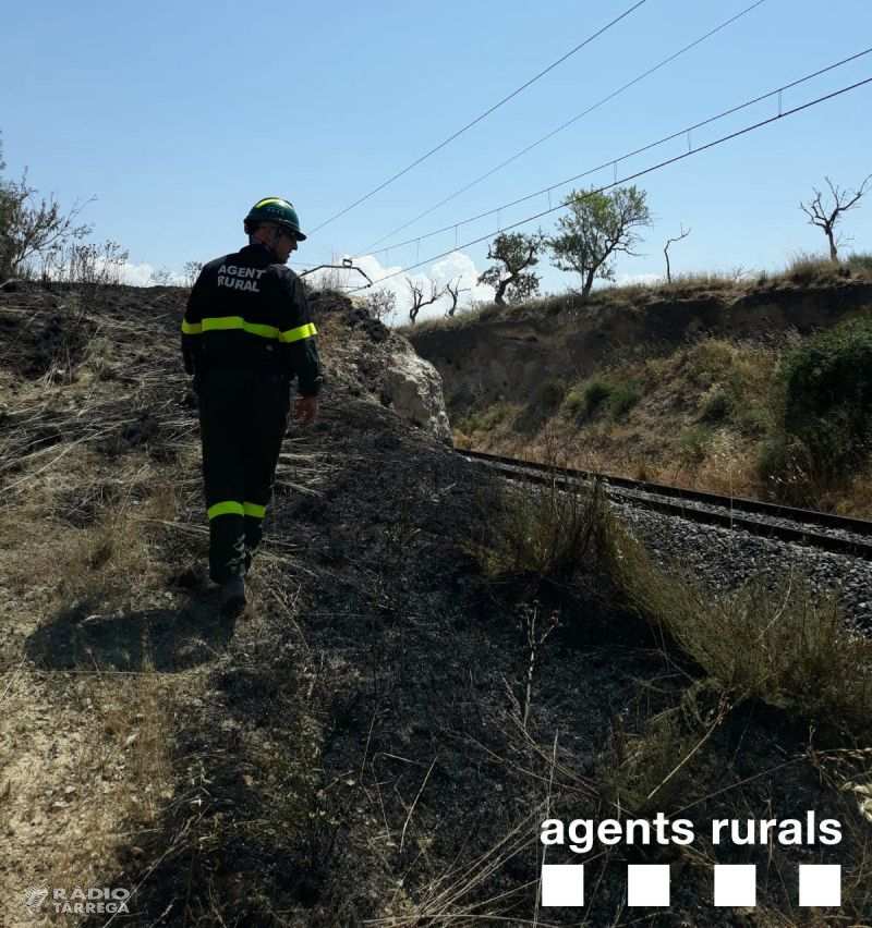 Un incendi crema 1,4 Ha de terreny erm a Anglesola