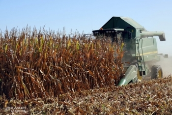 El Parlament debat dijous la proposició de Llei d'espais agraris, una eina llargament reclamada pel sector