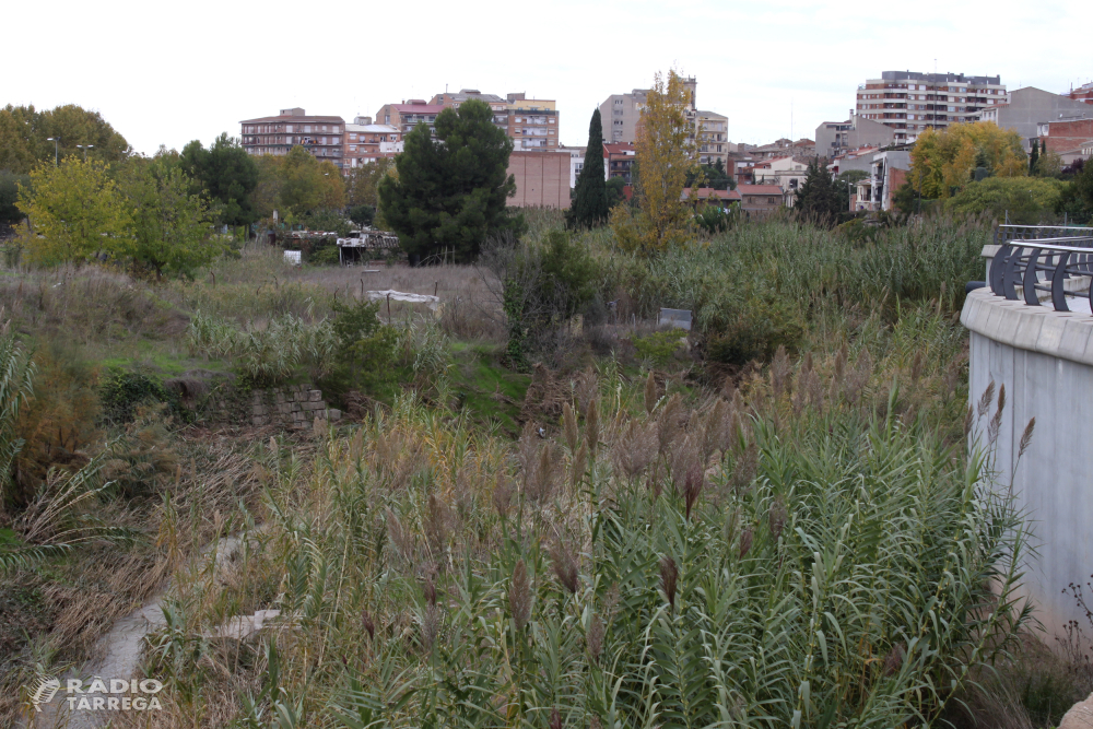 L’Ajuntament de Tàrrega finalitza l’expropiació d’horts vora el riu Ondara i licitarà durant el desembre les obres per convertir l’espai en zona de passeig