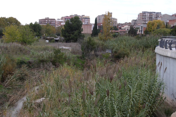 L’Ajuntament de Tàrrega finalitza l’expropiació d’horts vora el riu Ondara i licitarà durant el desembre les obres per convertir l’espai en zona de passeig