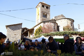 El pont de la Puríssima registra ocupacions superiors al 75% al Pirineu i zones de muntanya