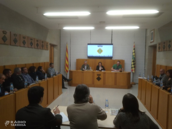 El pressupost del 2019 del Consell Comarcal de l'Urgell augmenta la partida destinada a Serveis Socials