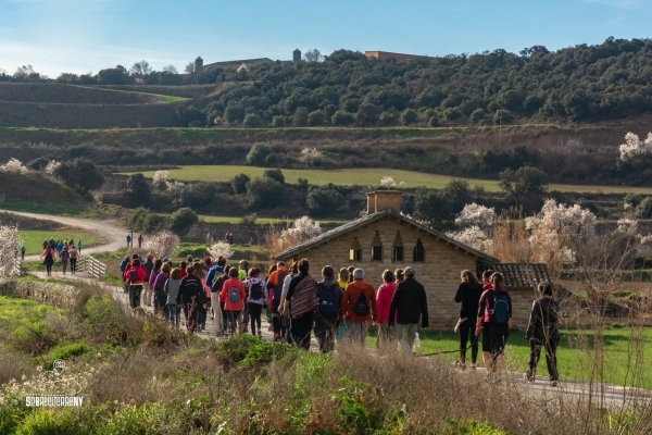 230 persones participen en la 18a Caminada Popular de l’Urgell