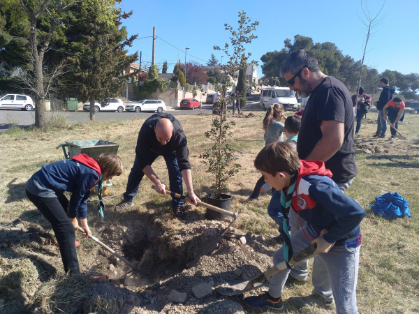 El Cau de Tàrrega celebra 60 anys amb una plantada d'arbres i un esmorzar popular