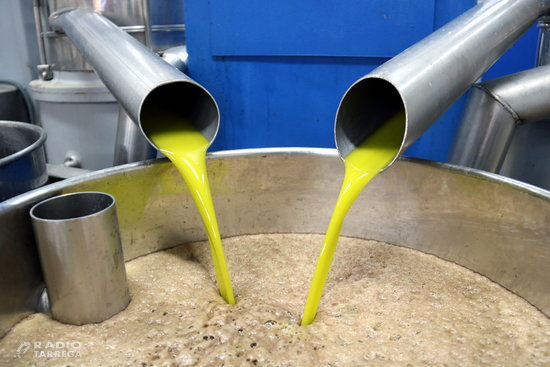 Unió de Pagesos considera "no atribuïble a raons de mercat" la disminució del preu de l'oli d'oliva