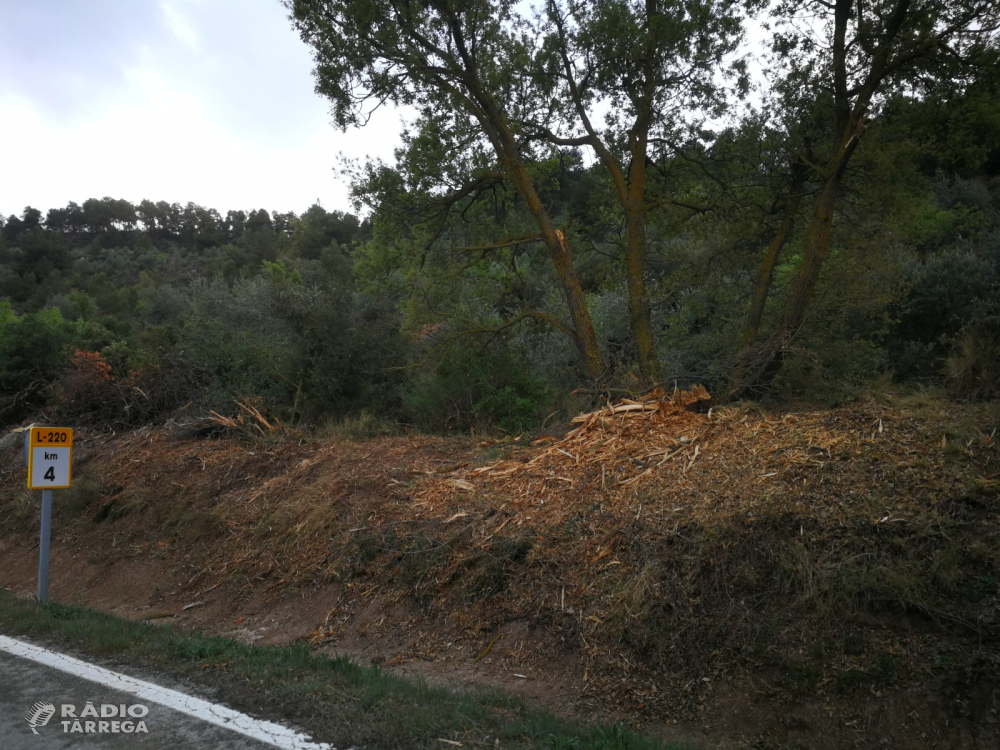 Denuncia per la destrossa de l’arbrat a les carreteres C-14 i L- 220 a la comarca de l’Urgell