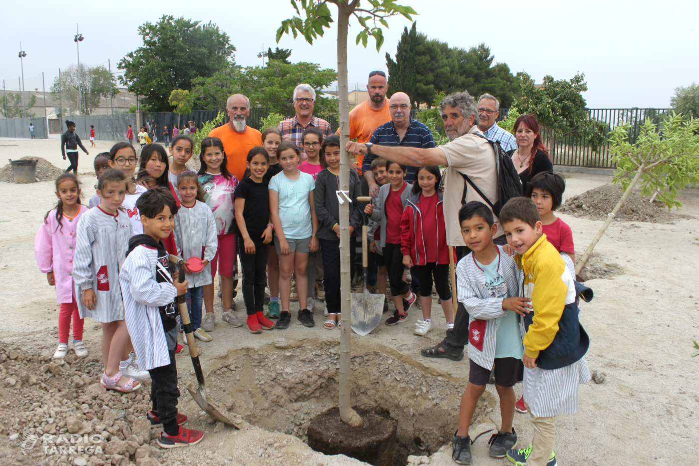 Tàrrega celebra el Dia Mundial del Medi Ambient amb una plantada d’arbres al Col·legi Àngel Guimerà